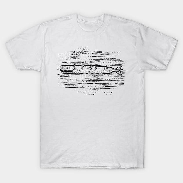 Whale T-Shirt by GeeTee